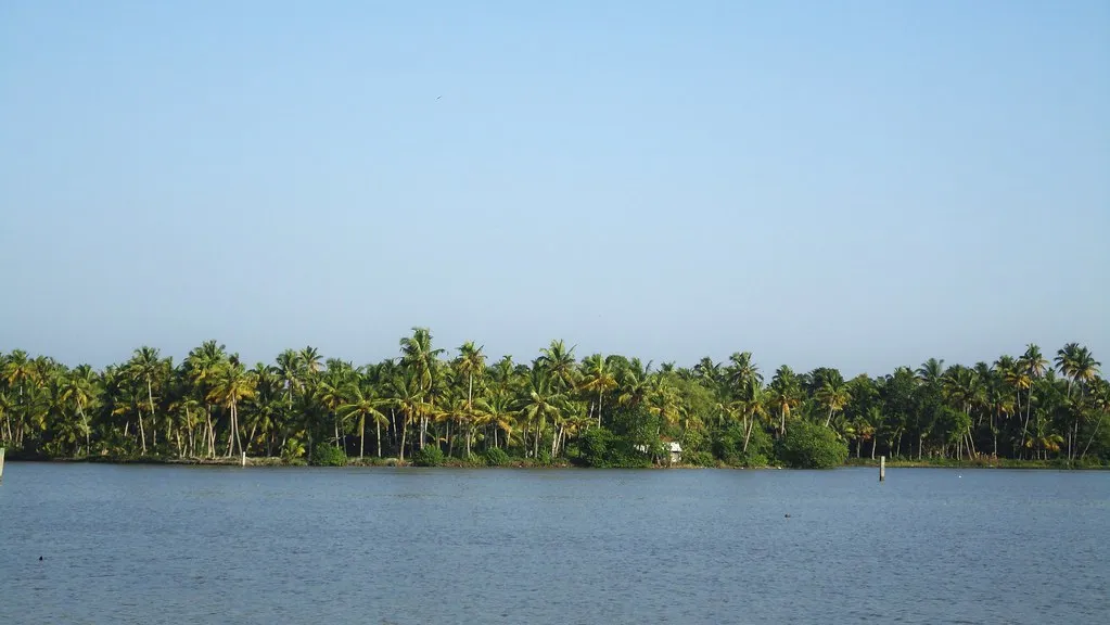Kayamkulam Backwaters