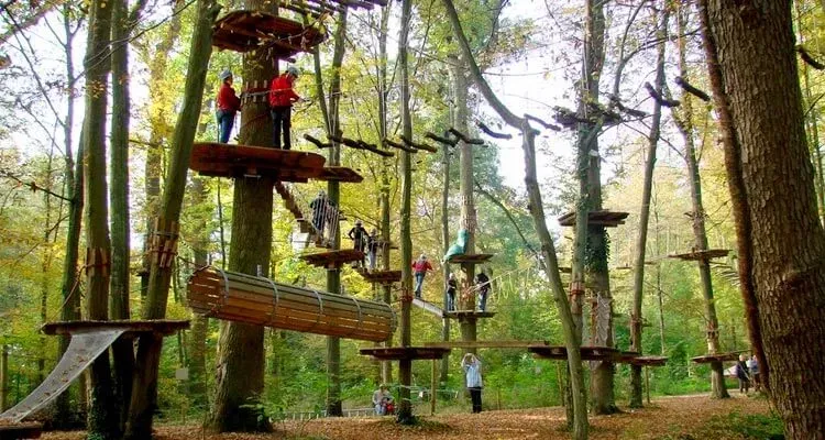Fun Forest Adventure Park