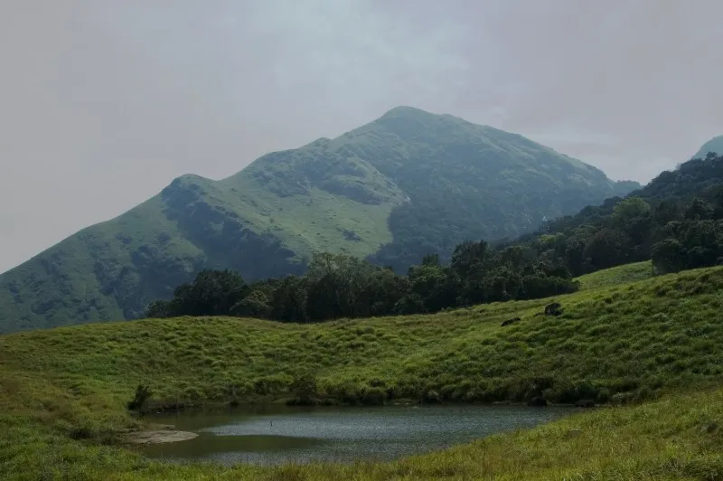 Kalpetta