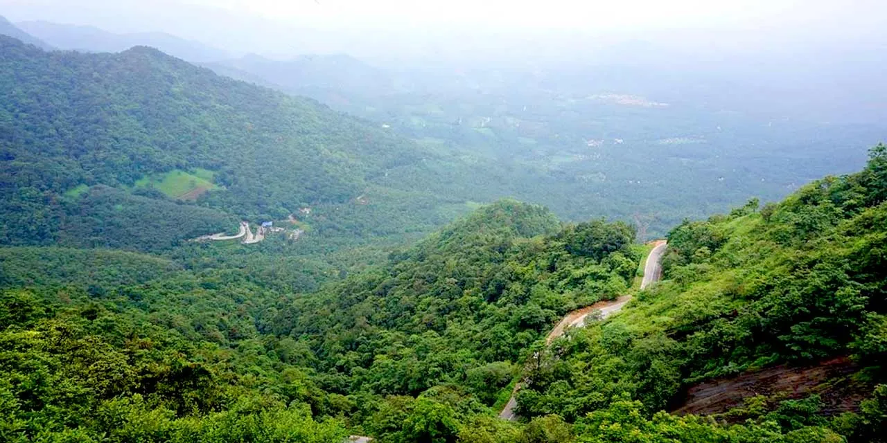 Lakkidi View Point