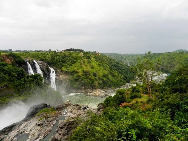 Nelliyampathy