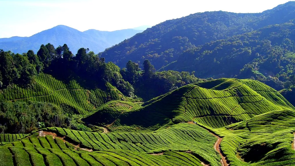 Wayanad