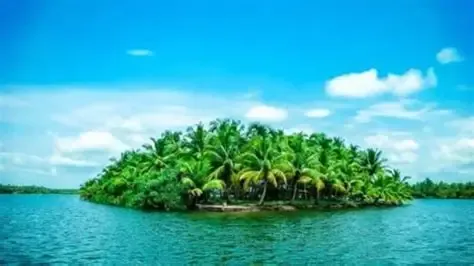 Kakkathuruthu Island