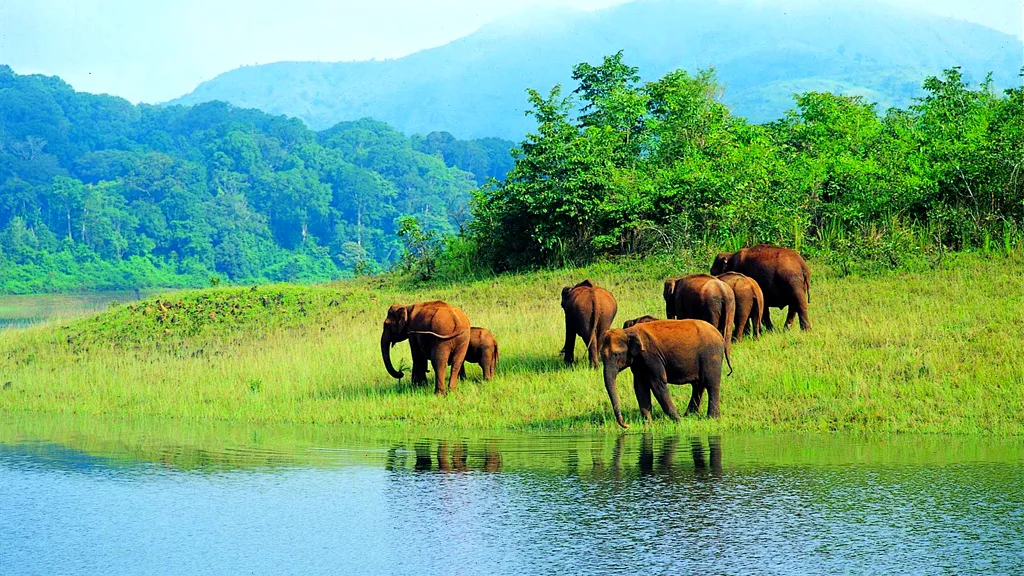 Periyar Wildlife Sanctuary