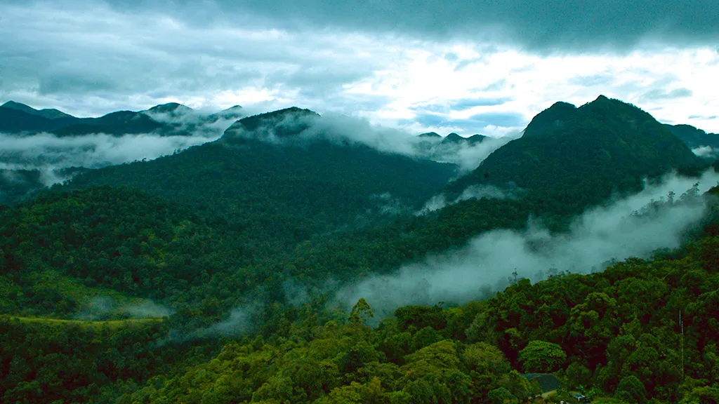 Silent Valley National Park
