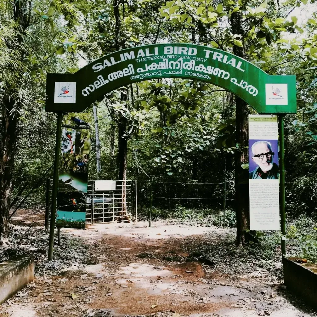 Thattekad Bird Sanctuary
