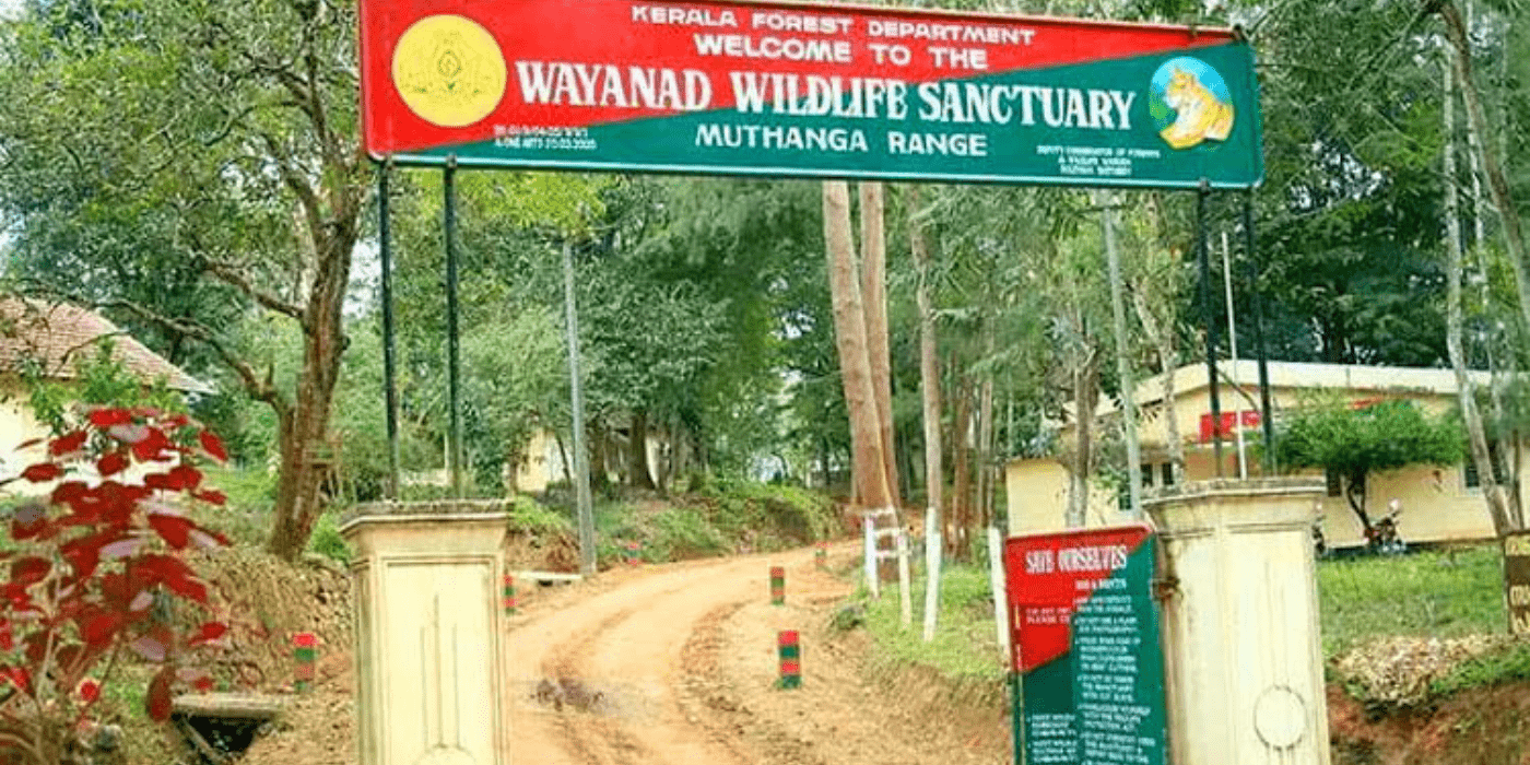 Wayanad Wildlife Sanctuary